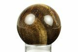 Polished Tiger's Eye Sphere #241609-1